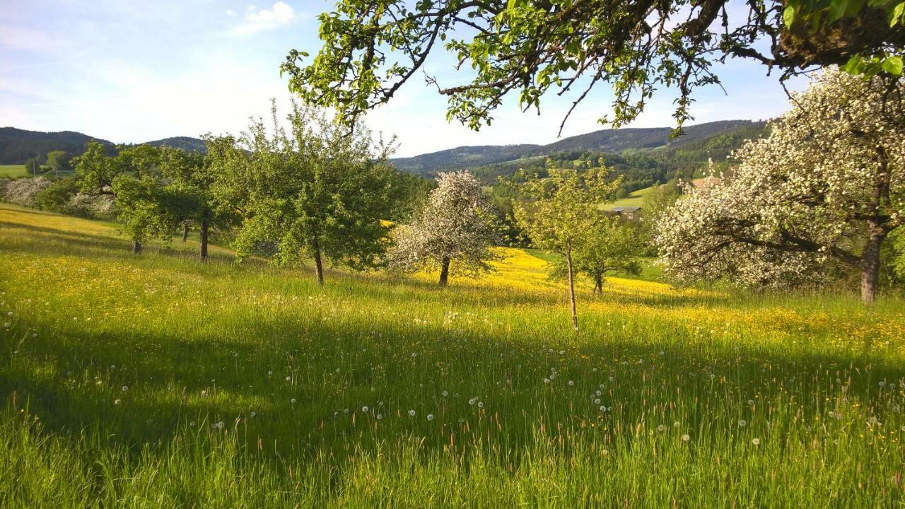 Ferien Vom Ich, Bayerischer Wald, & Restaurant Hotel