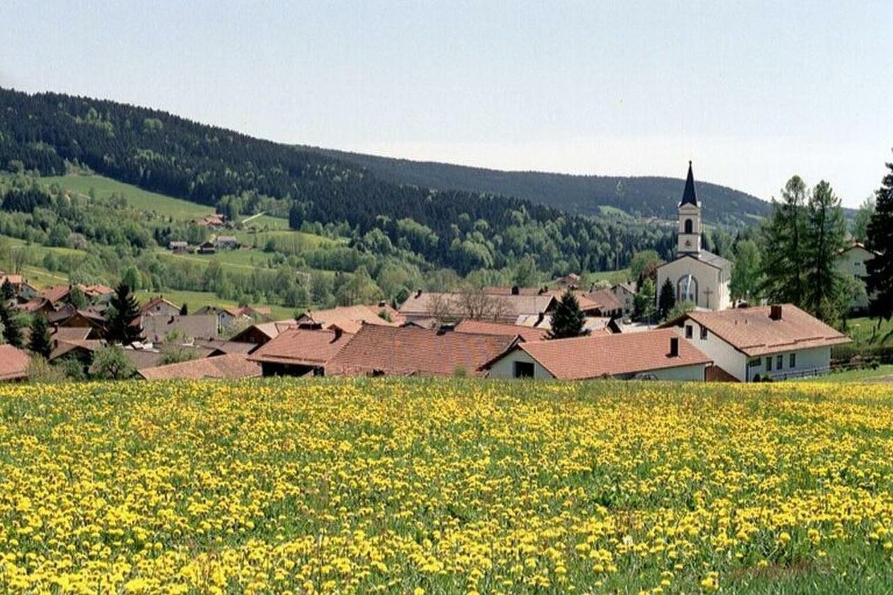 Ferien Vom Ich, Bayerischer Wald, & Restaurant Neukirchen (Lower Bavaria)